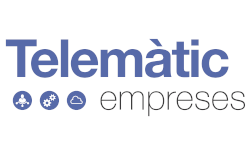 LogoTelemàtic